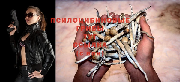Альфа ПВП Алексин