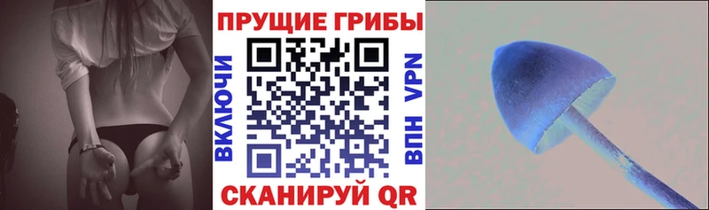 Псилоцибиновые грибы Magic Shrooms  Буй 